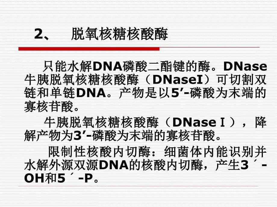 第十二章核苷酸代谢核苷酸的生物功能合成核酸是多种_第5页