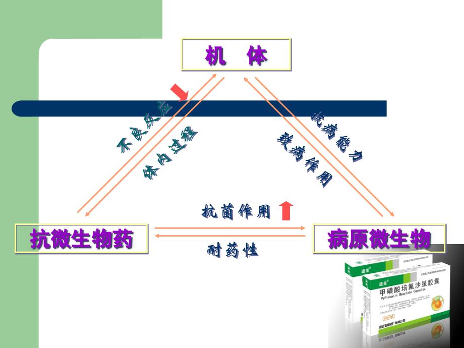 第三代喹诺酮的代表产品_第4页