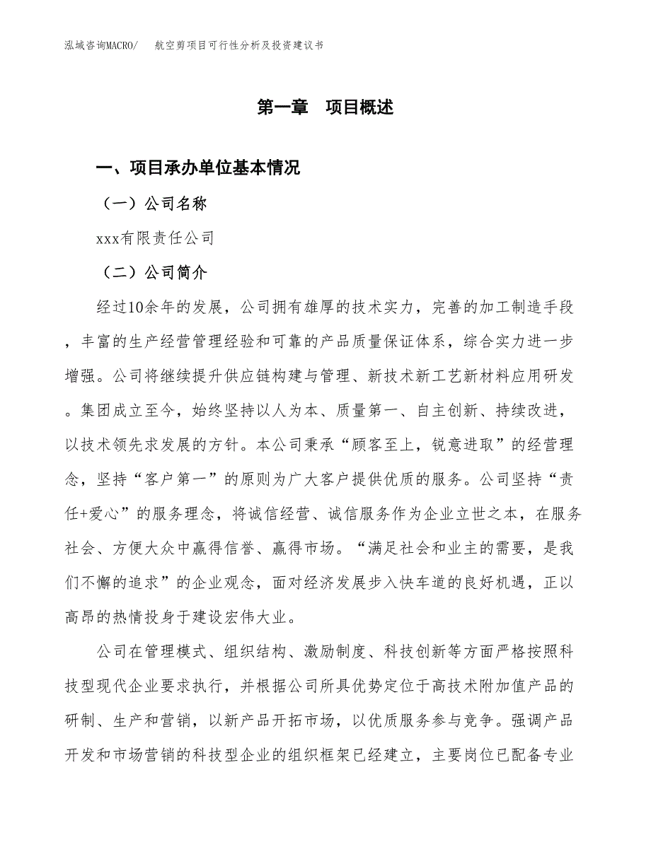 航空剪项目可行性分析及投资建议书.docx_第2页