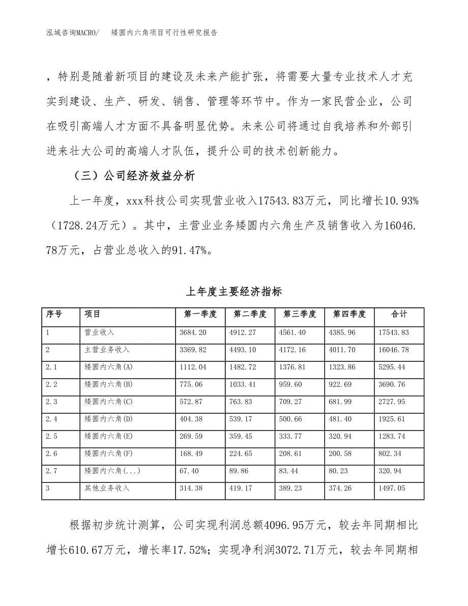 矮圆内六角项目可行性研究报告建议书.docx_第5页