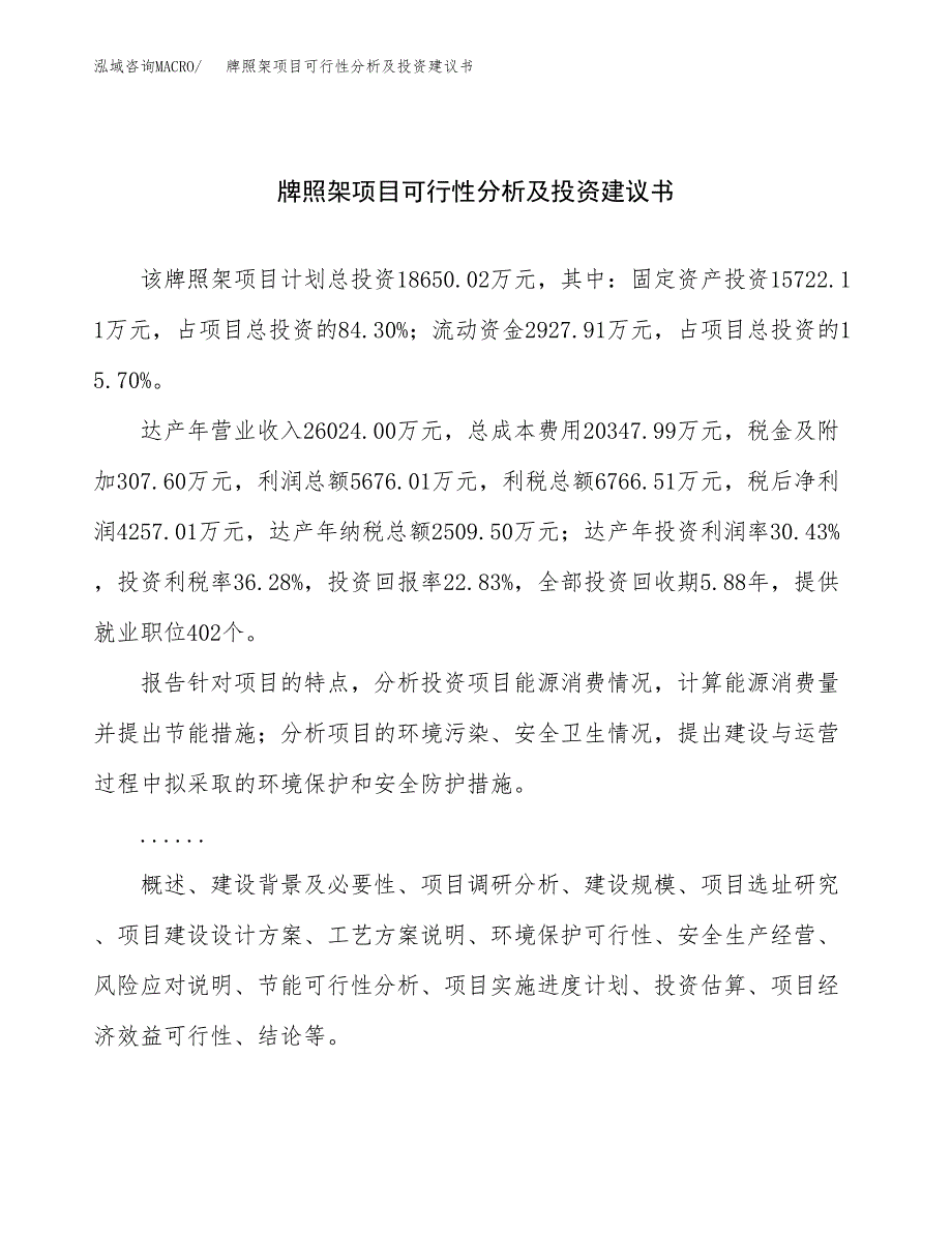 牌照架项目可行性分析及投资建议书.docx_第1页