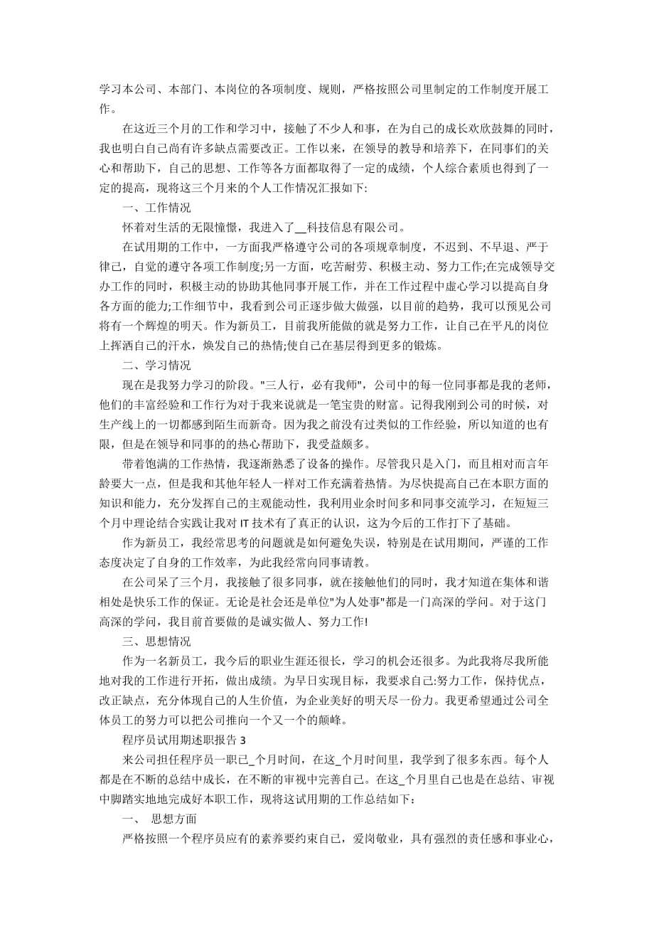 程序员试用期述职报告精选学习模板_第2页