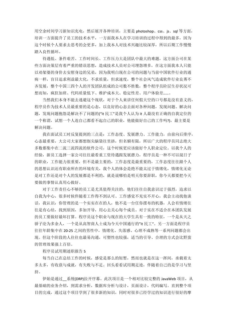 程序员试用期述职报告精选学习模板_第5页