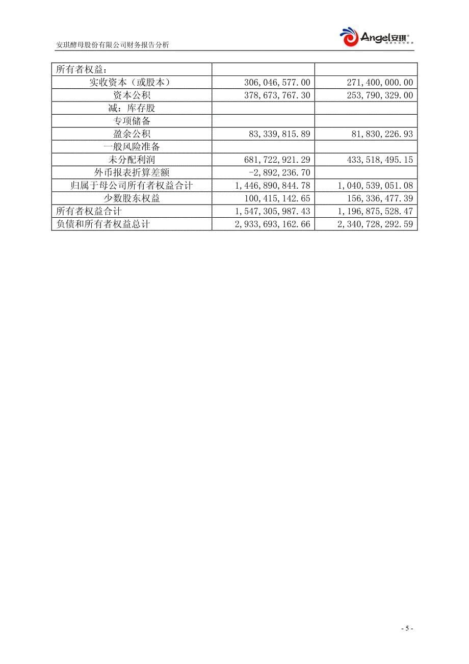 安琪酵母股份有限公司年度财务报告分析_第5页