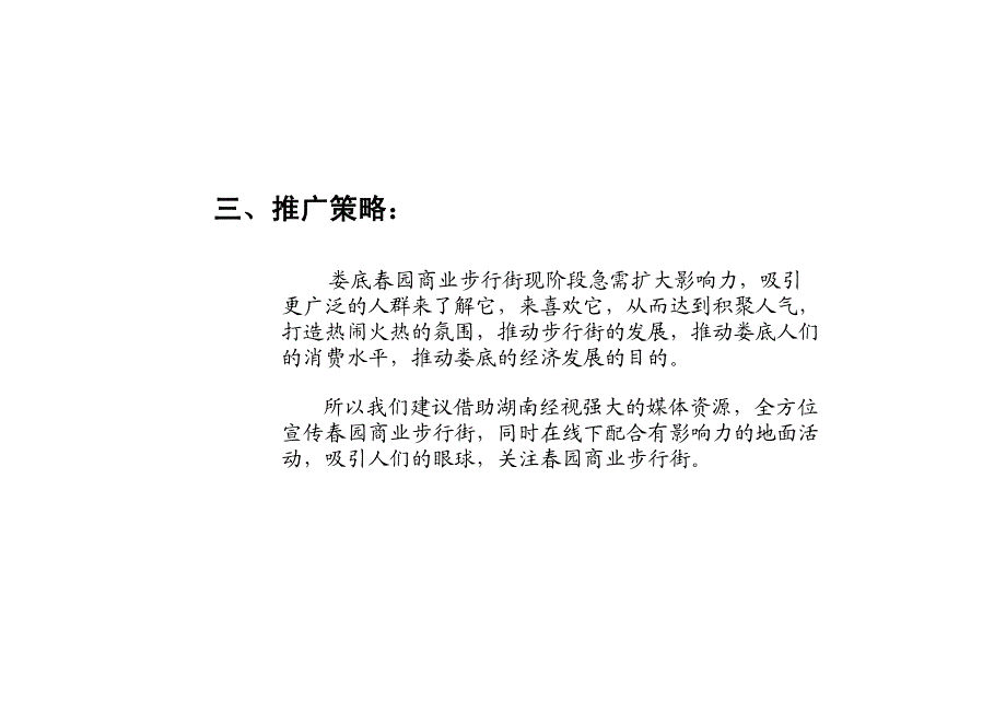 娄底春园商业步行街活动推广方案_2007年_第4页