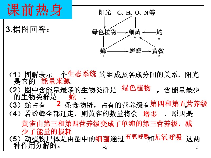 《生态系统的结构》一轮复习课件解析精选课件_第3页