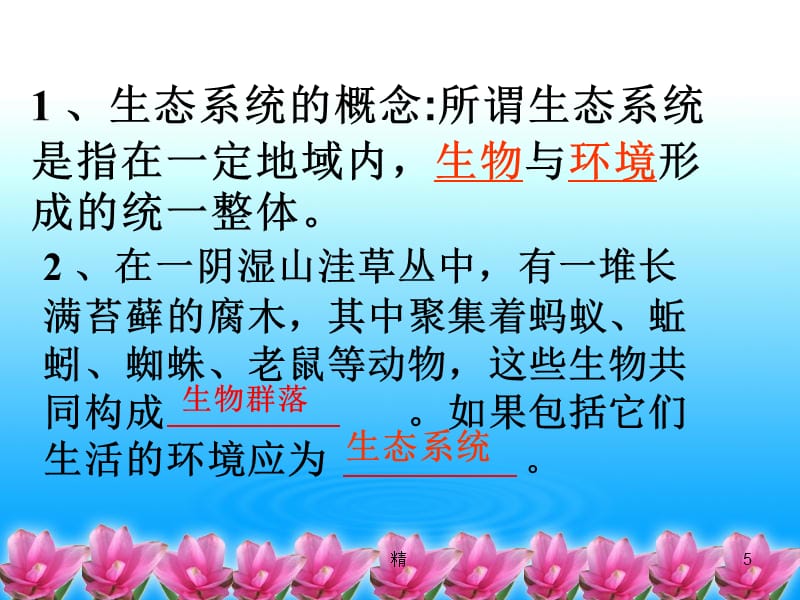 《生态系统的结构》一轮复习课件解析精选课件_第5页