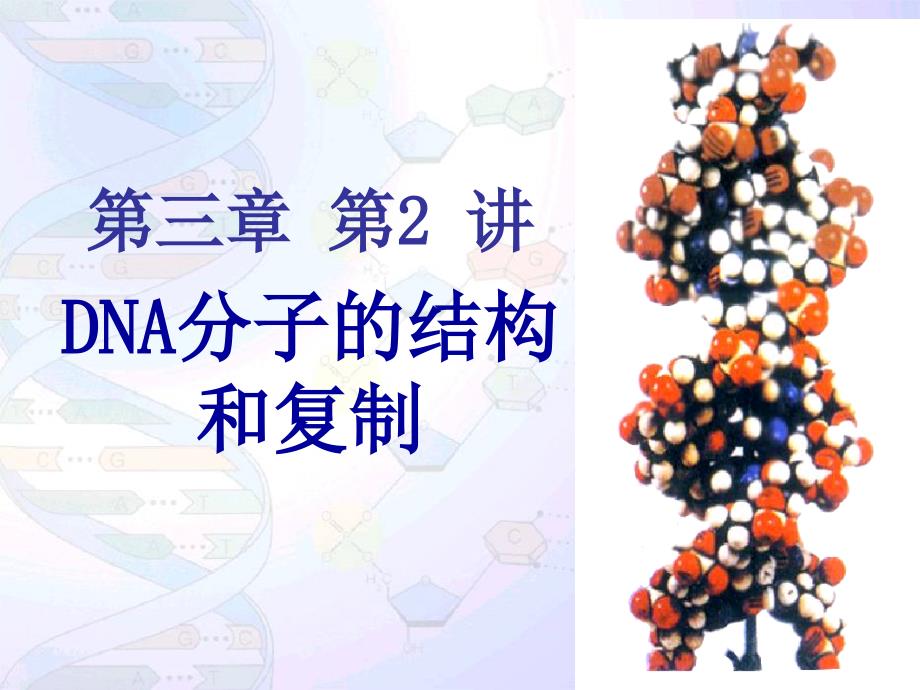 DNA分子的结构与复制(一轮复习)课件_第1页