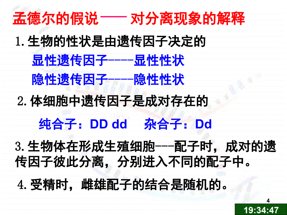 遗传的基本规律复习PPT_第4页