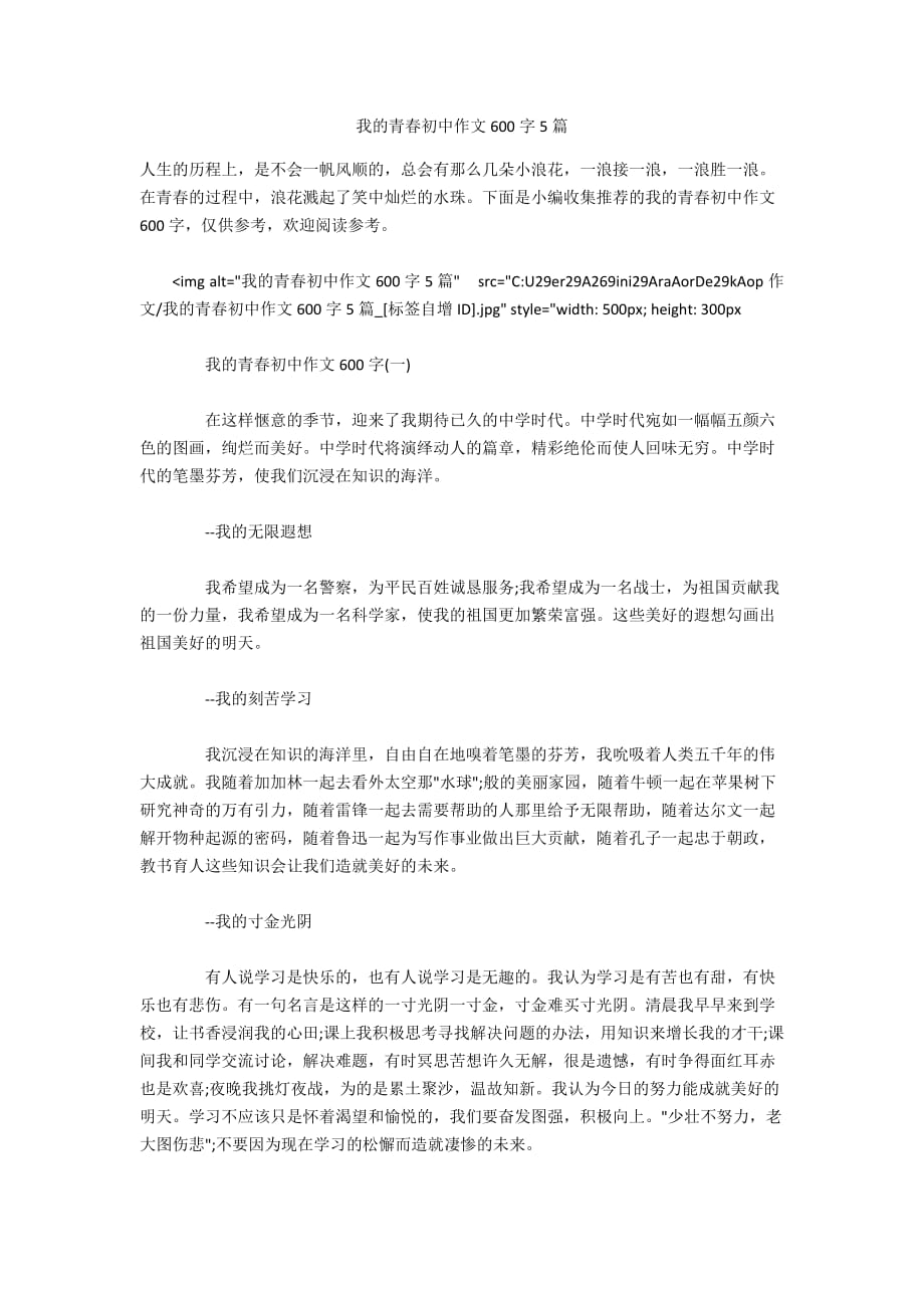 我的青春初中作文600字5篇_第1页