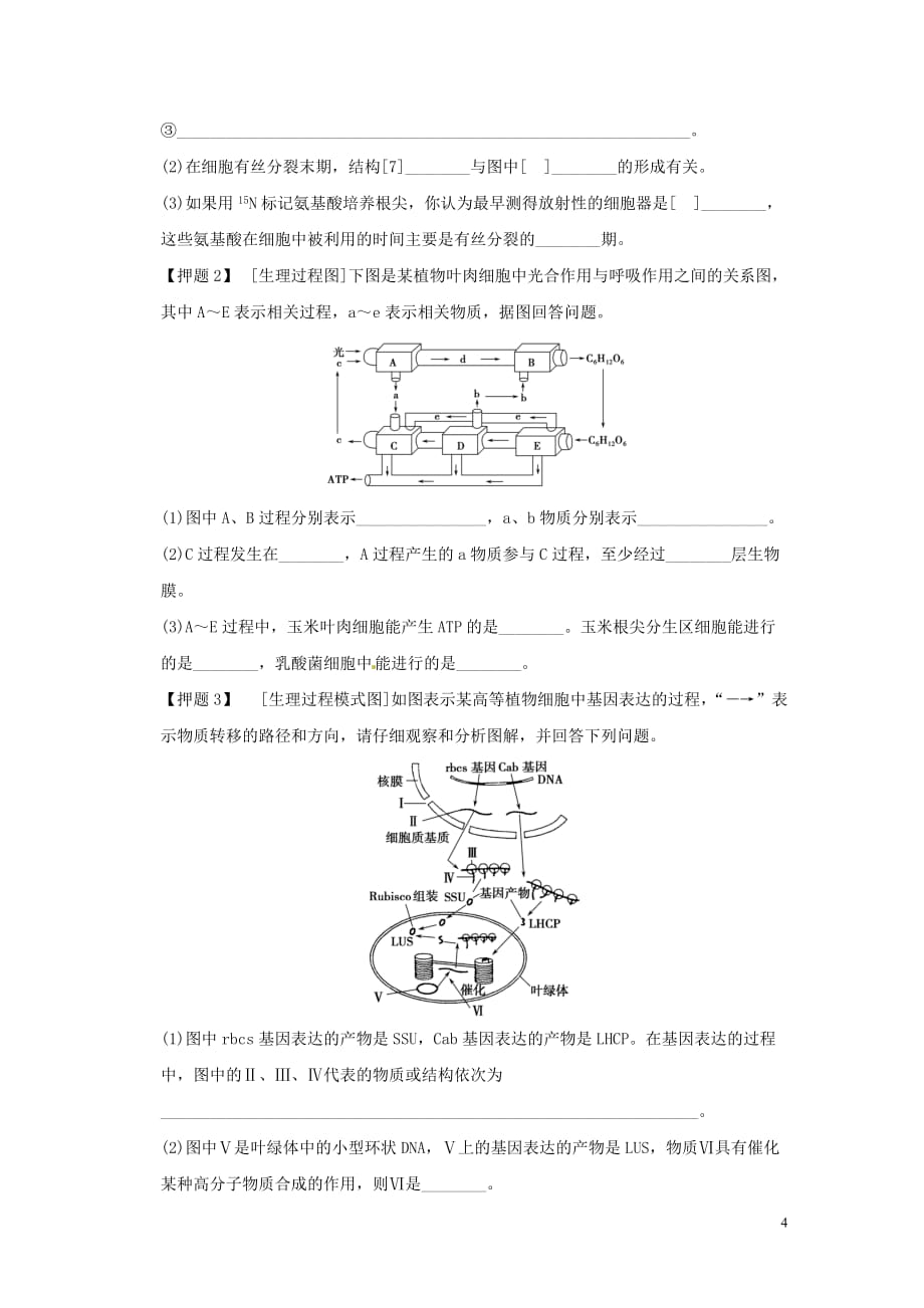 2013届高考二轮复习全攻略 策略3 全面观察、应用变通细答图像、图解类非选择题 学案 新人教版.doc_第4页