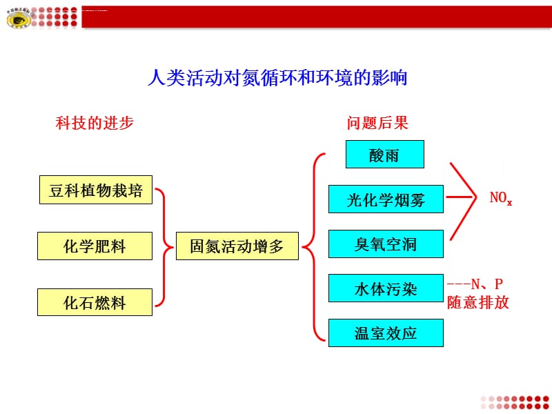 人类活动对氮循环和环境的影响课件_第1页