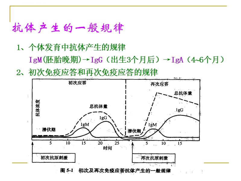 《免疫与计划免疫》PPT课件_第4页