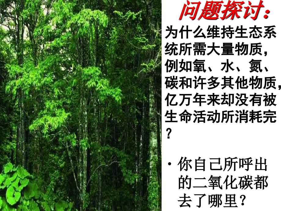 《生态系统的物质循环》)课件_第4页