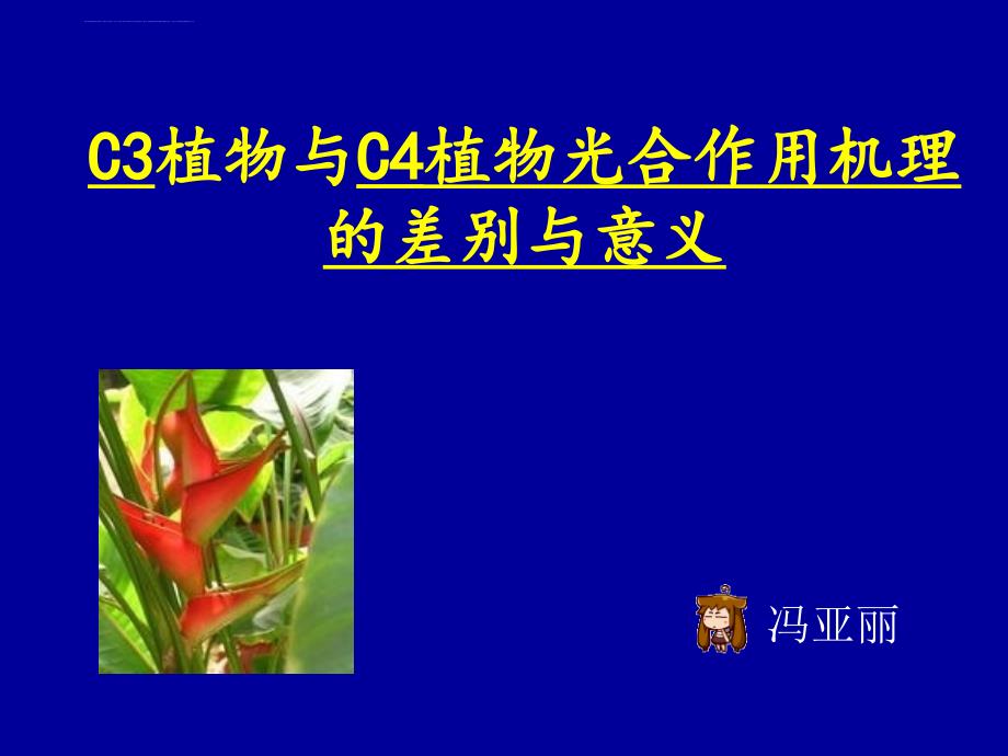 C3植物与C4植物光合作用机理的差别与意义课件_第1页