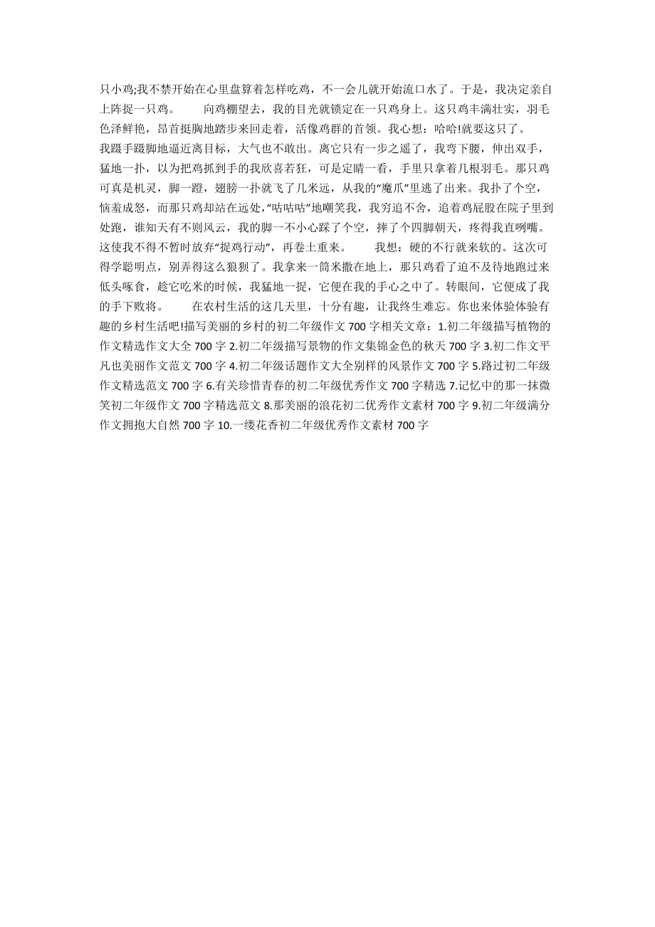 描写美丽的乡村的初二年级作文700字五篇_第3页