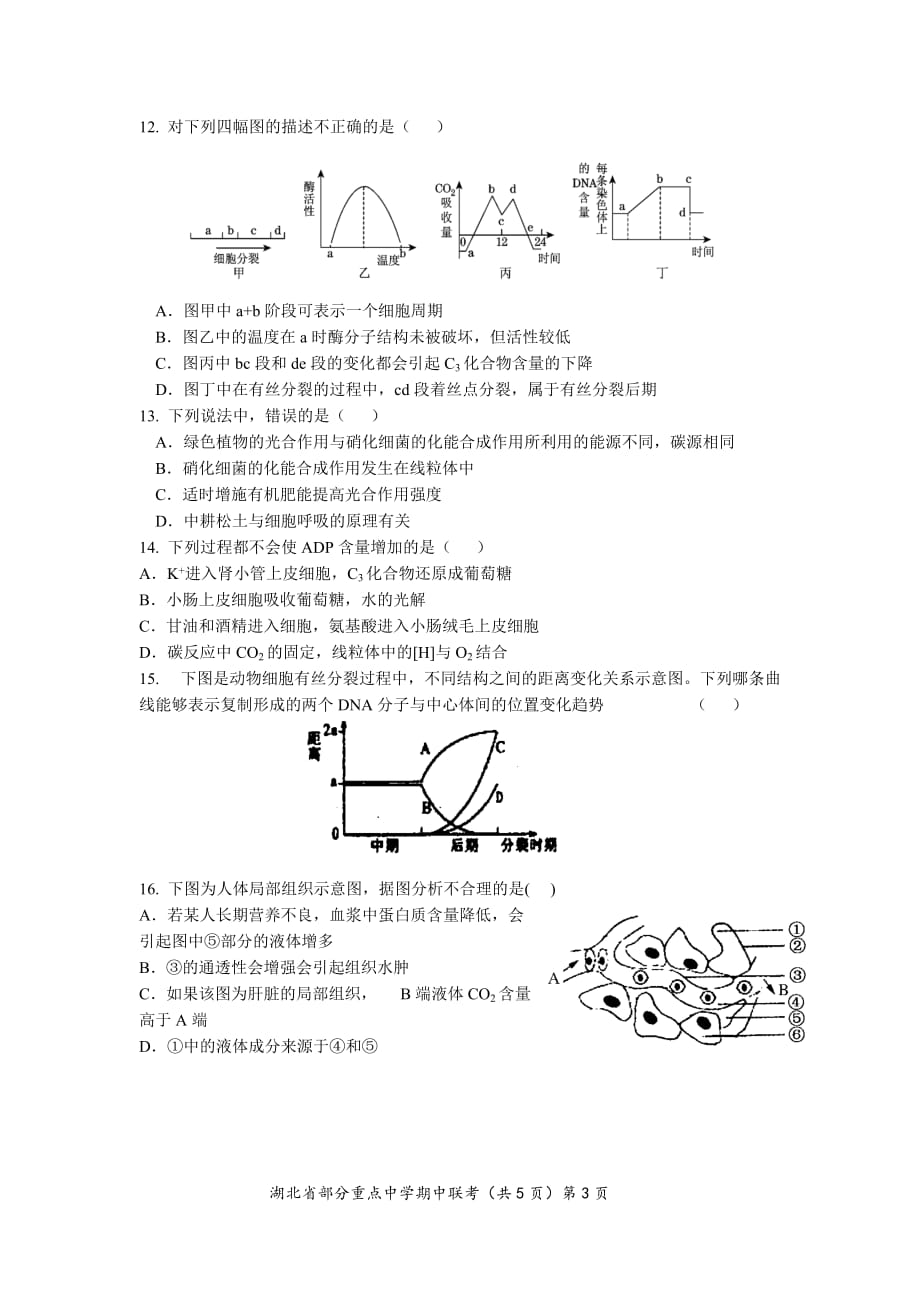 湖北省部分重点中学10-11学年度高一生物下学期期中联考.doc_第3页