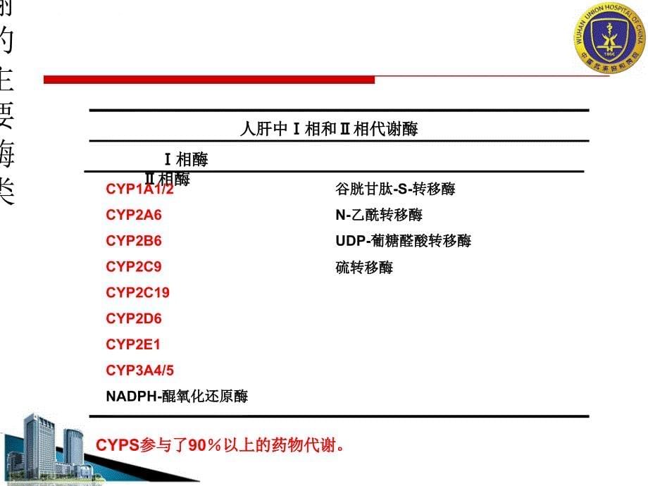 CYP450与肿瘤科用药课件_第5页