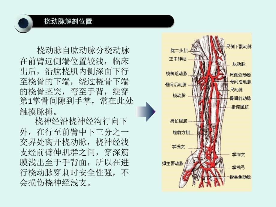 3840整理新动脉血气分析浅析_第5页