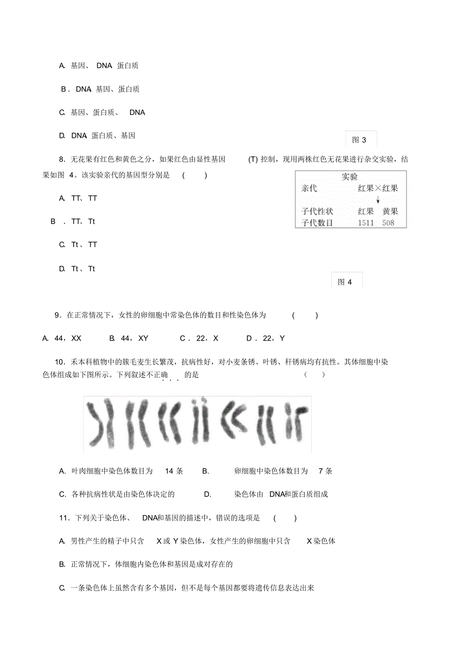 2020中考复习_生物的遗传和变异专题_第2页