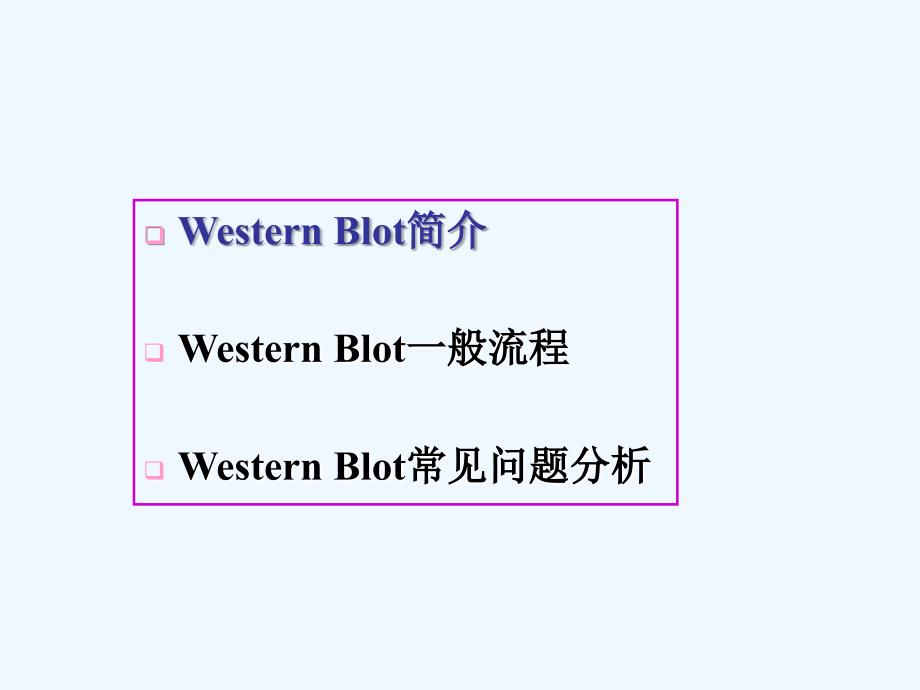 WesternBlot详解及问题分析课件_第2页