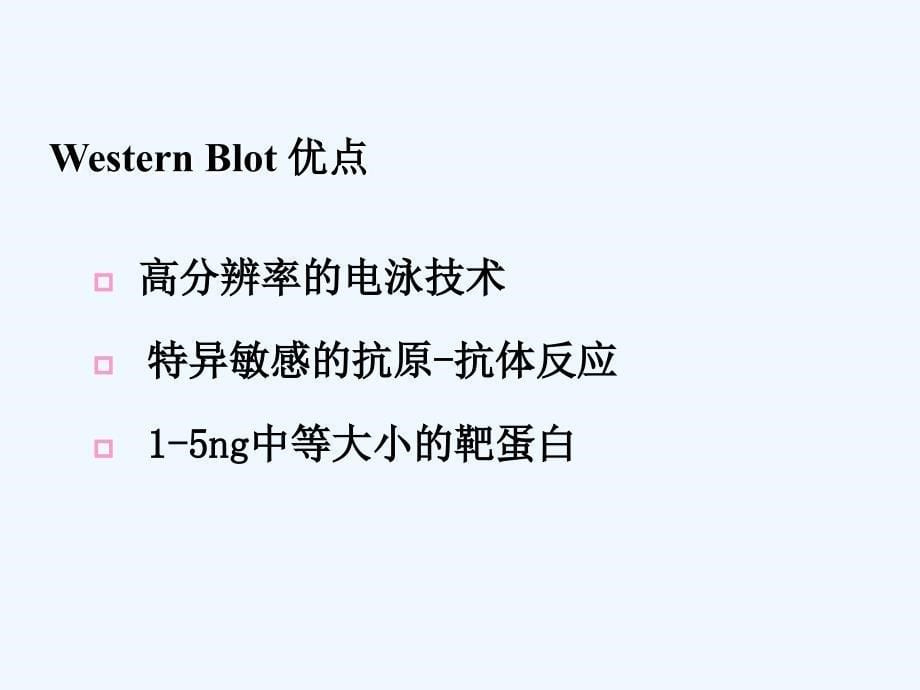 WesternBlot详解及问题分析课件_第5页