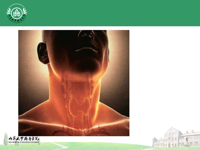 【内科学习】_甲状腺功能亢进症 Hyperthyroidism-山东大学齐鲁医院_第5页
