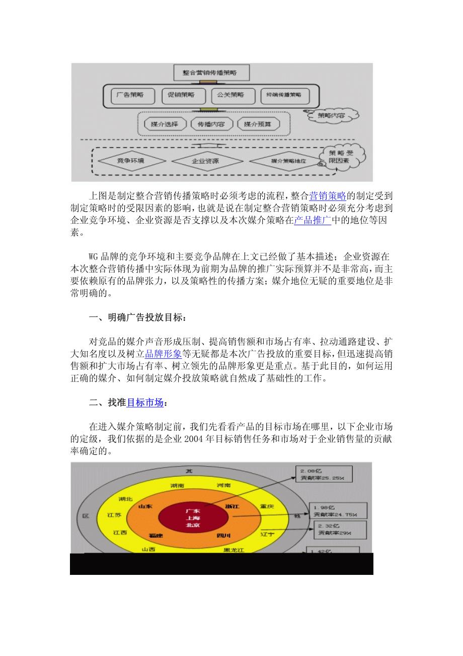 WG品牌整合营销传播案例纪实_第4页