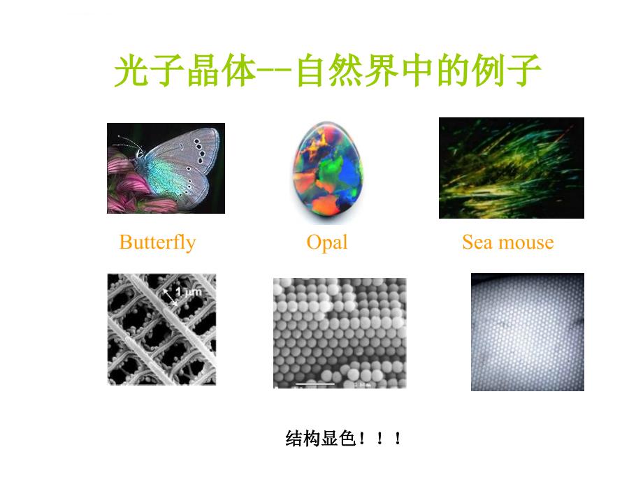 光子晶体简介英文版综述课件_第4页