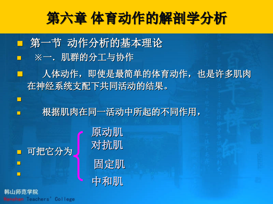 第六章 体育动作的解剖学分 析课件_第3页