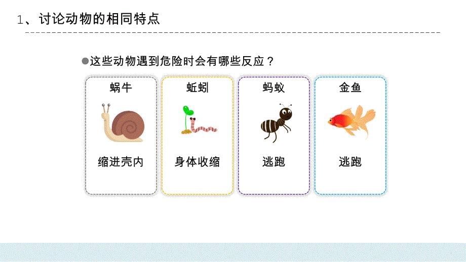 教科版三年级科学上册动物的共同特点PPT课件_第5页