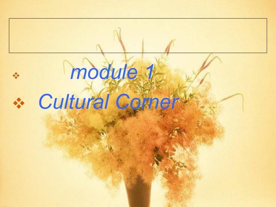 外研社_高一英语必修二Module_1_culture_corner_课件_第5页