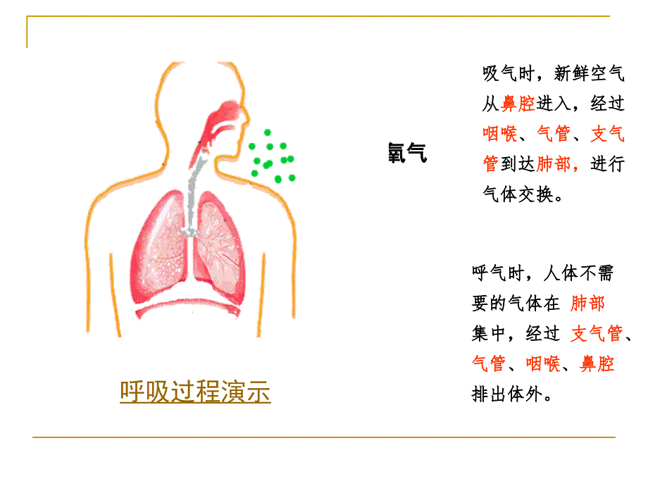 四年级科学上册《运动起来会怎样(一)》PPT课件(教科版)_第4页