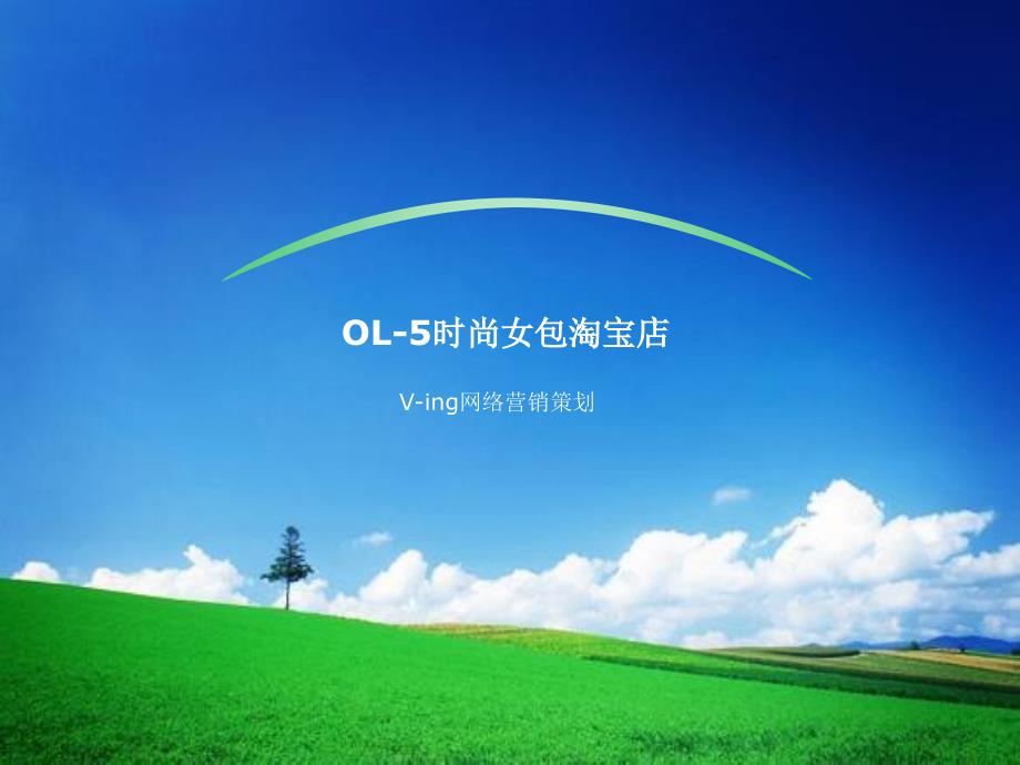 OL-5时尚女包网络营销_第1页