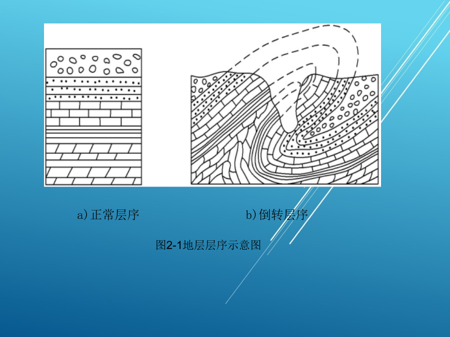 土木工程第二章 第四纪沉积土课件_第4页