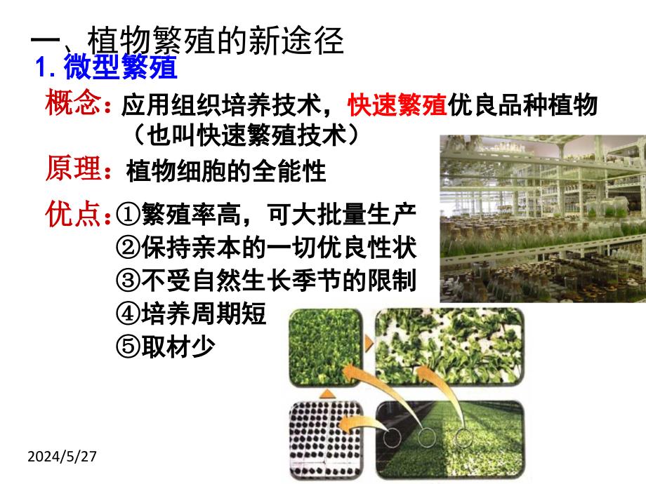 2.1.2植物细胞工程的实际应用(上课用)-_第4页