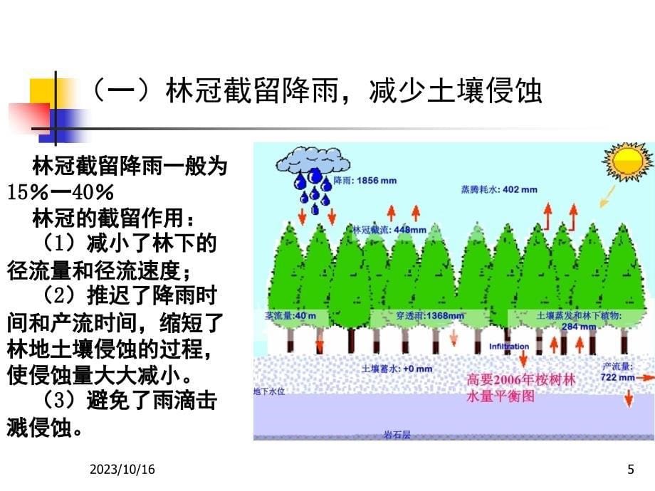 第四章-水土保持生物措施幻灯片_第5页