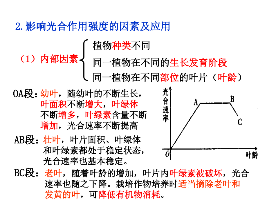 能量之源光与光合作用三光合作用的原理和应用课件_第4页