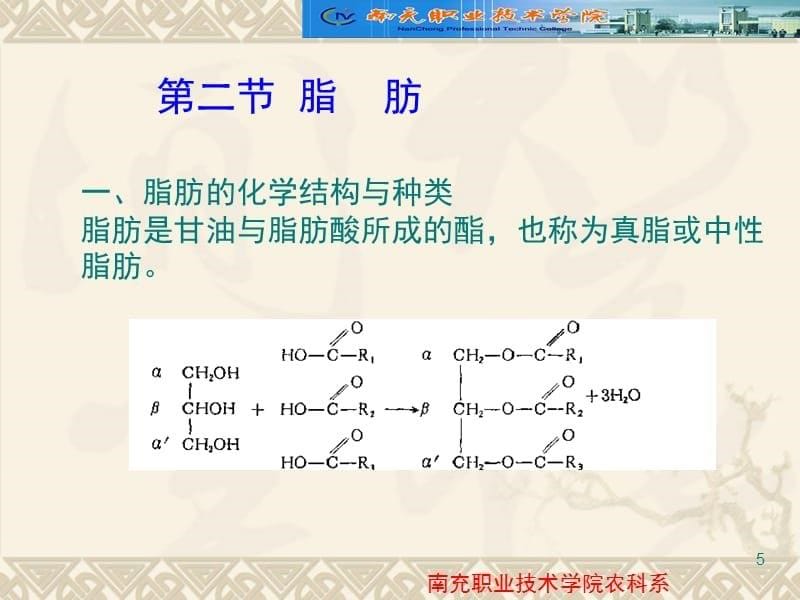 脂类幻灯片_第5页