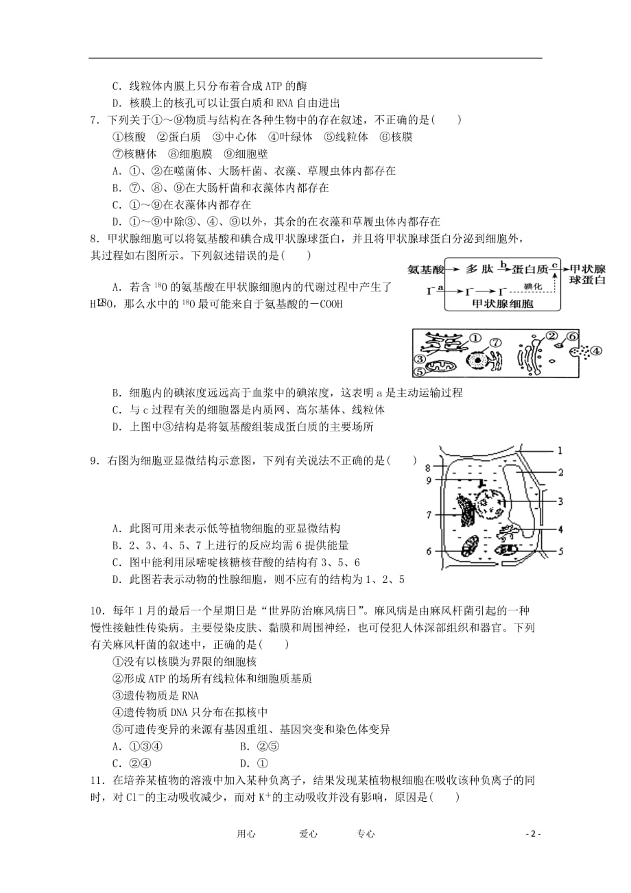 山东省莱芜市第一中学2012届高三生物10月测试【会员独享】_第2页