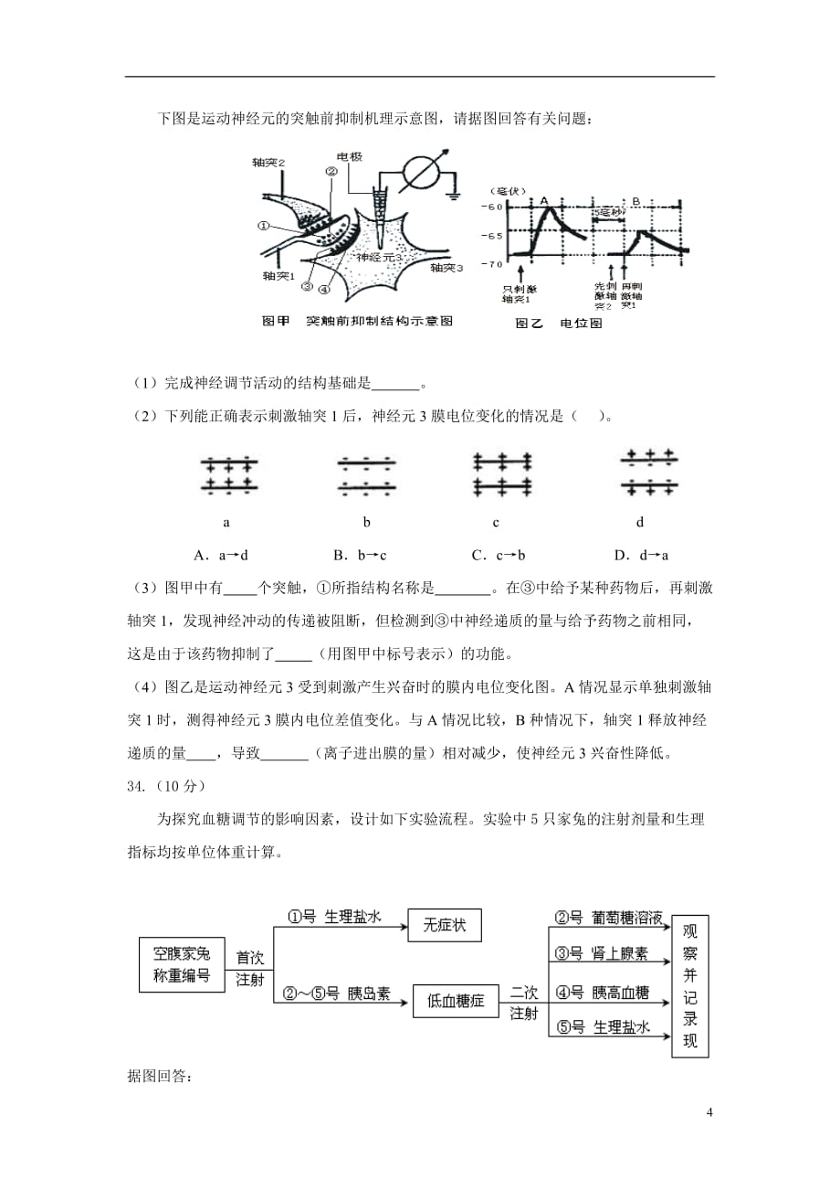 湖南省郴州市一中2012届高三生物第六次质量检测试题【会员独享】_第4页