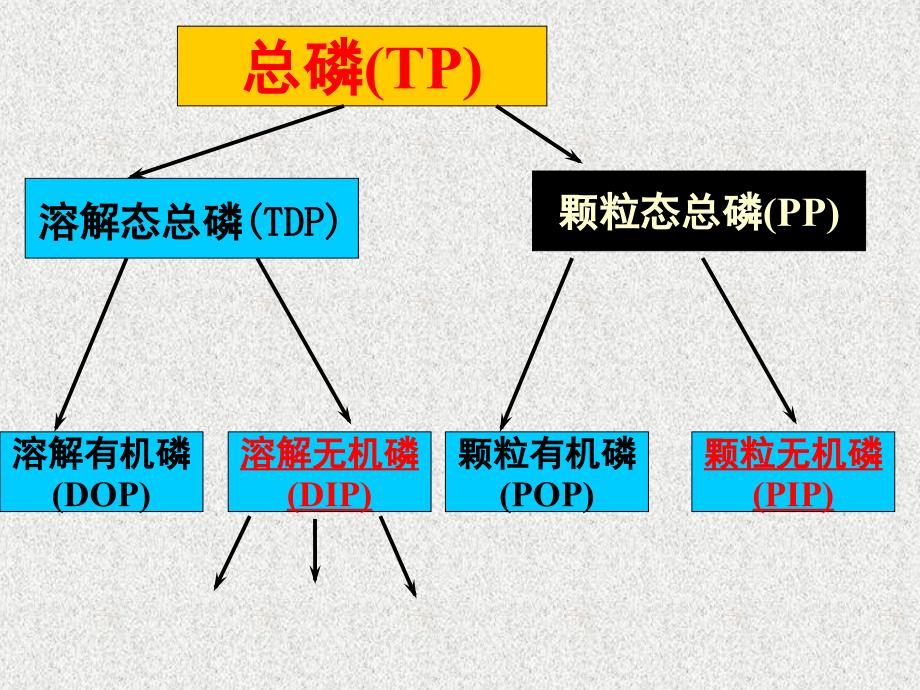 实验7海水中活性磷酸盐的测定(精)课件_第2页