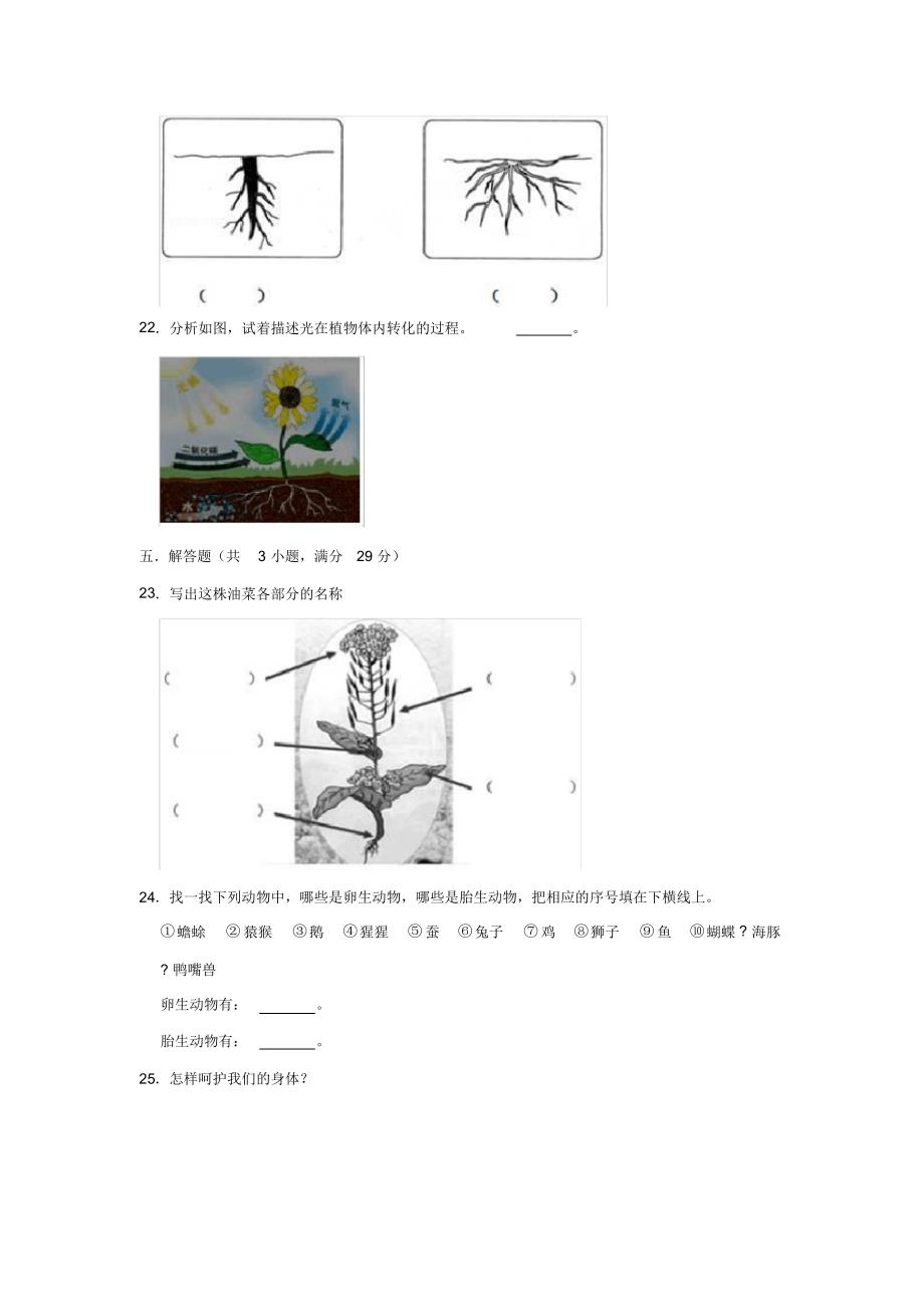 三年级科学下册考试试卷--2019-2020学年期中考试试卷教科版(含解析)_第3页