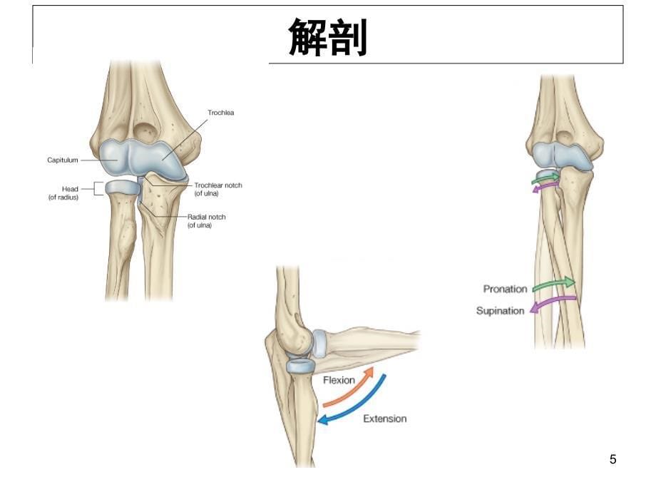 尺骨鹰嘴骨折课件课件_第5页