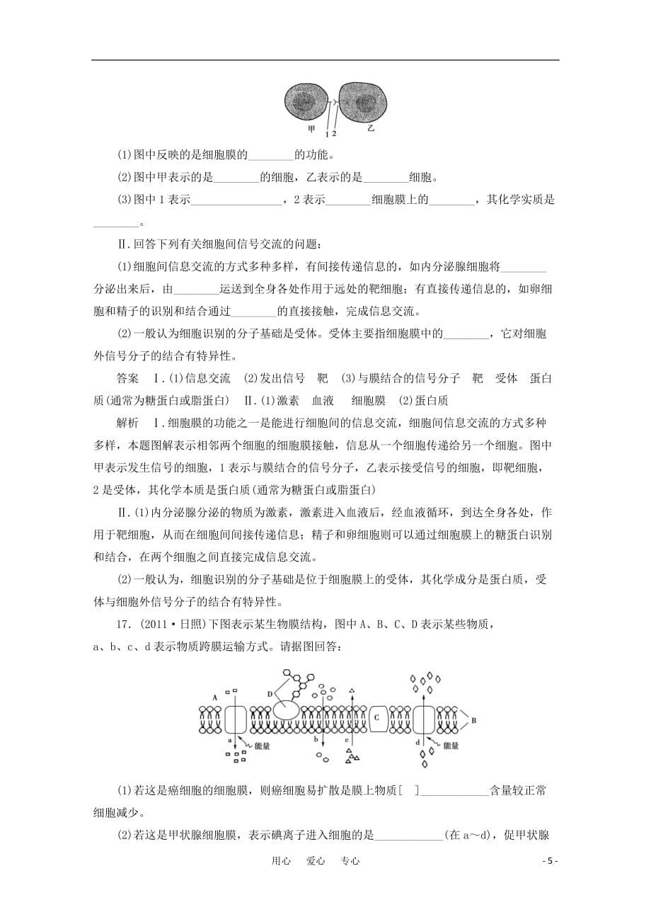 2012高考生物总复习 细胞膜与细胞核课堂强化训练 新人教版必修1 新课标_第5页