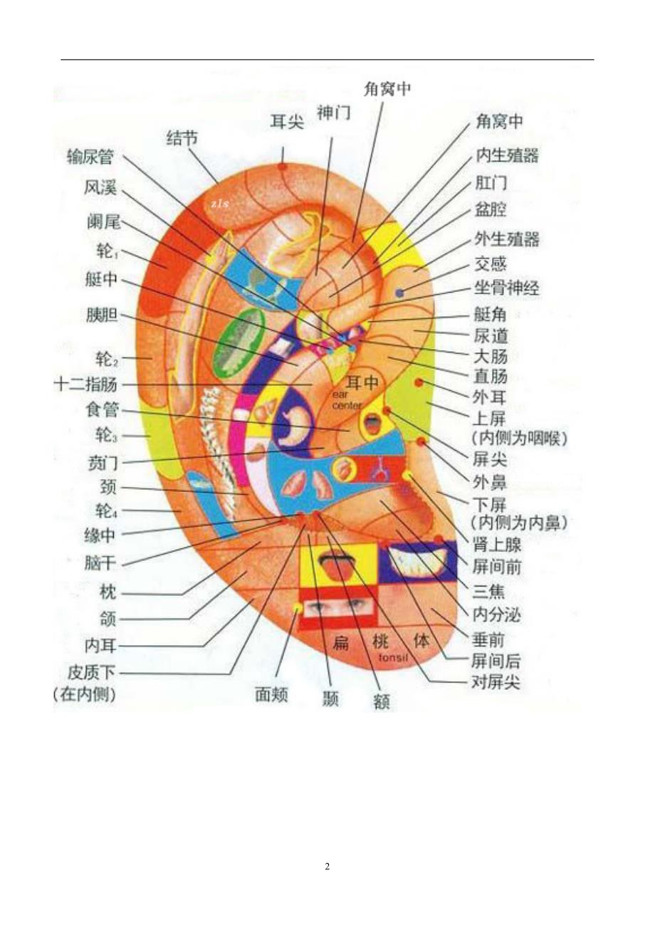 2020年整理耳部穴位反射图.doc_第2页