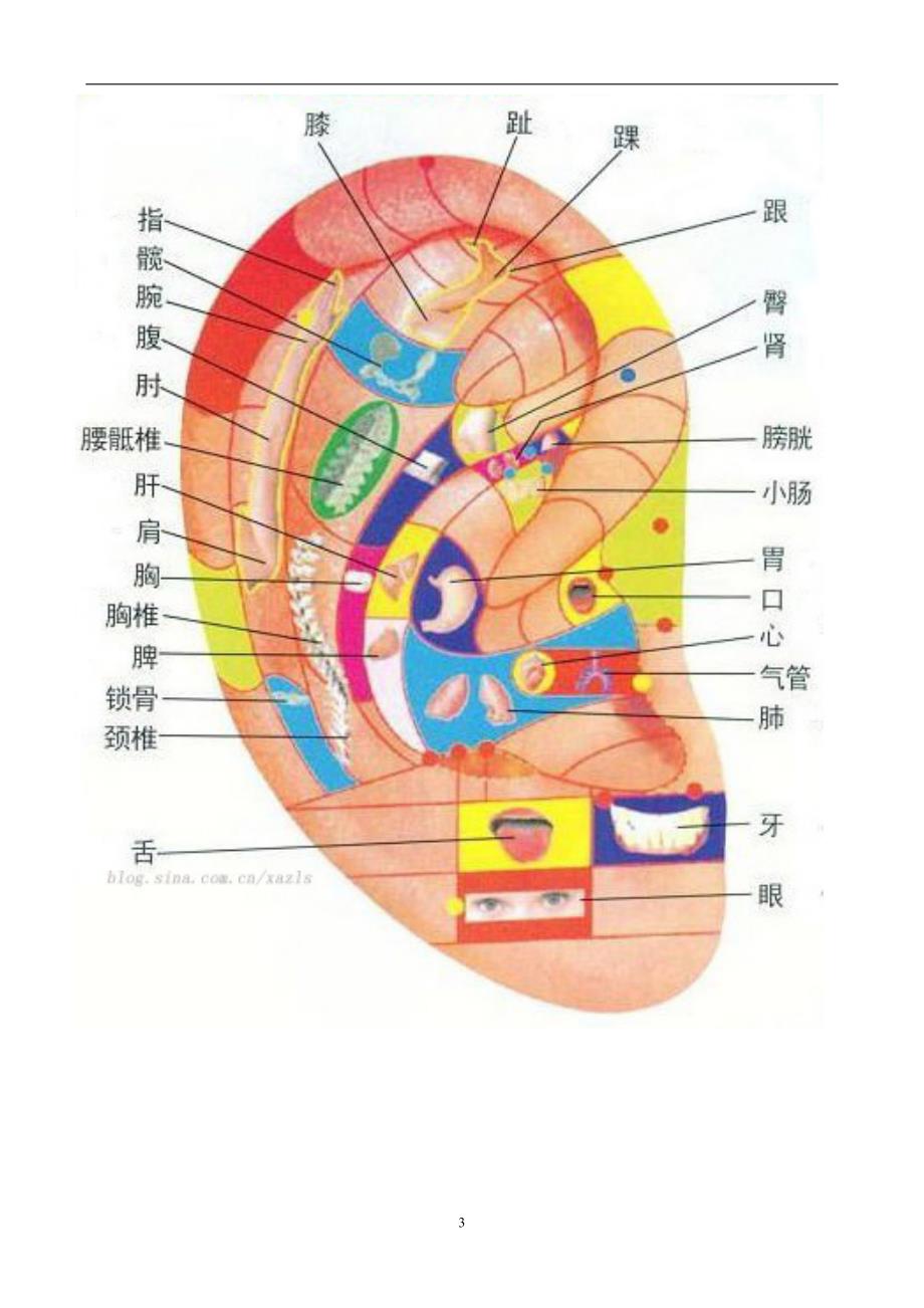 2020年整理耳部穴位反射图.doc_第3页