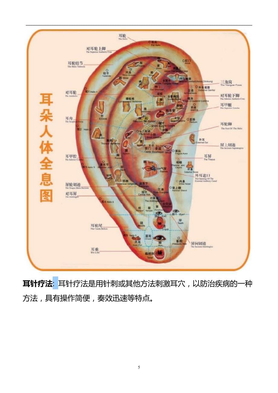 2020年整理耳部穴位反射图.doc_第5页