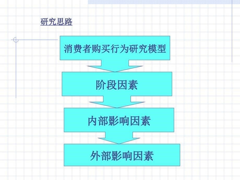 消费者行为研究4514523_第5页