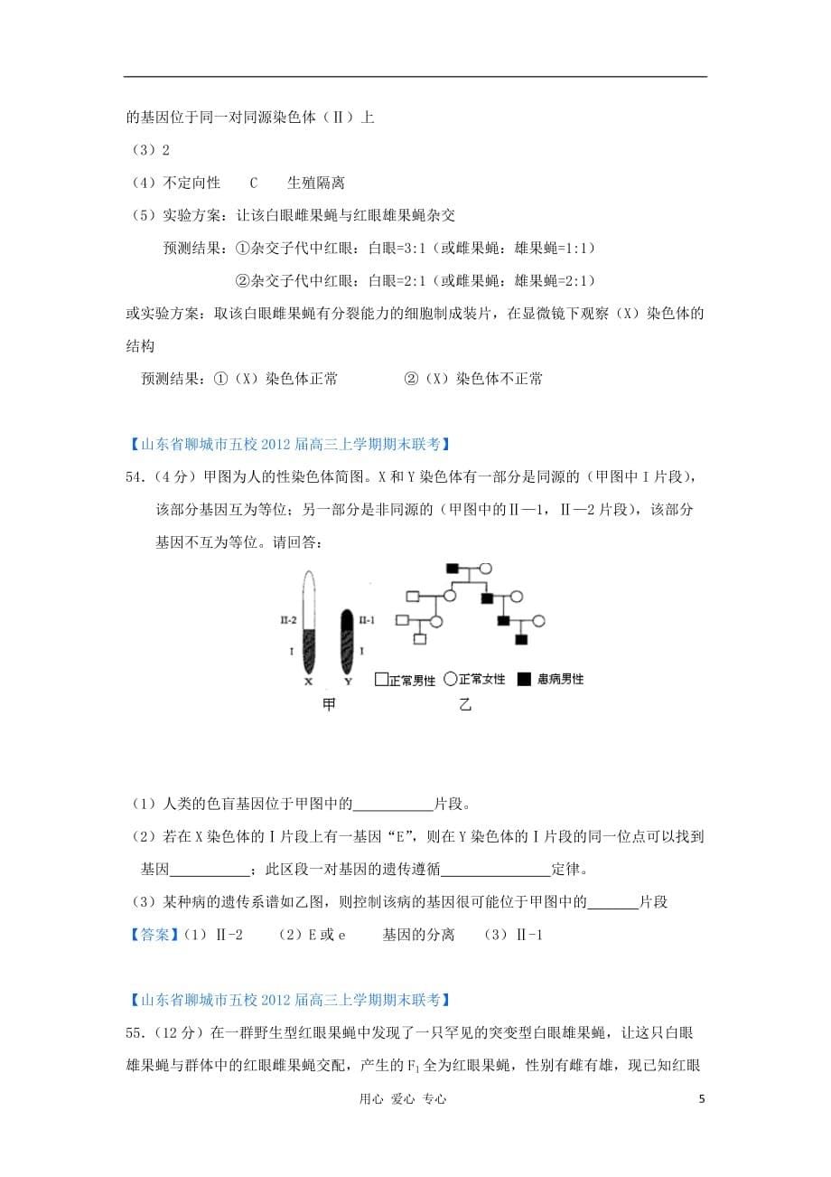 山东省2012年高考生物 各地市最新试题分类汇编12 遗传的细胞学基础和遗传定律（非选择题部分）_第5页